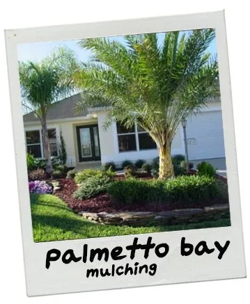 Trusted landscape design experts serving Coral Gables, FL - Landscaping Coral Gables