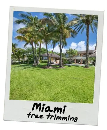 Expert garden landscaping in Coral Gables, FL - Landscaping Coral Gables