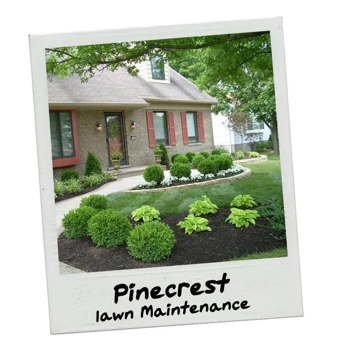 Custom landscape design experts serving Coral Gables, FL - Landscaping Coral Gables