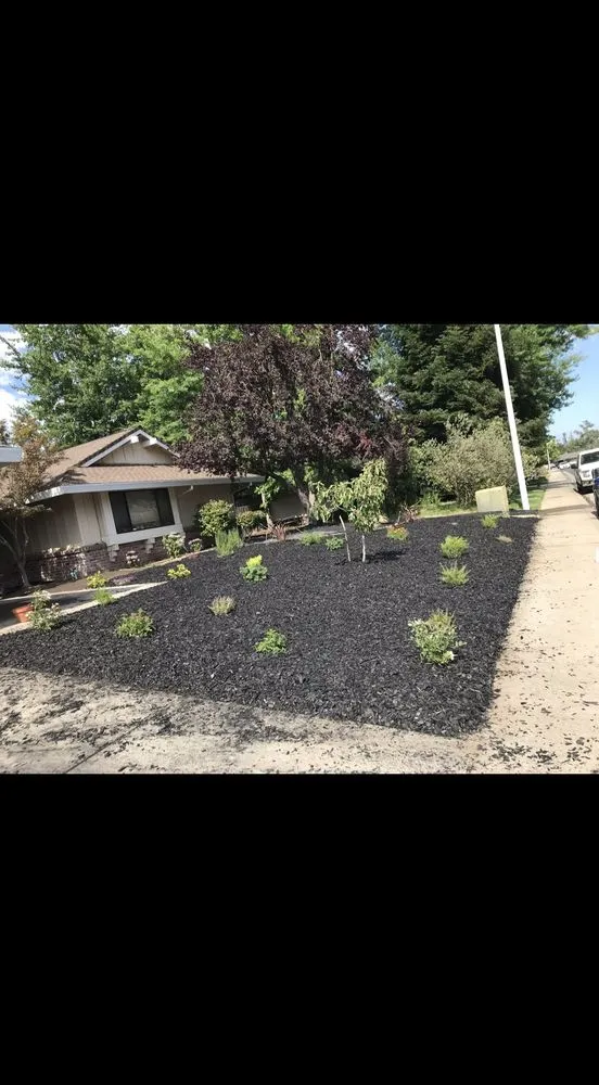 Professional yard maintenance in Sacramento, CA by Landscaping Corza