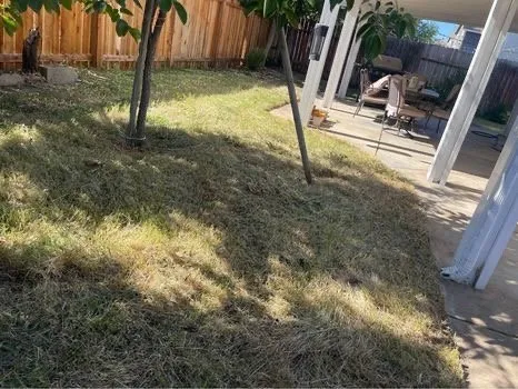 Top-rated lawn mowing service for year-round maintenance across Sacramento, CA - Landscaping Corza