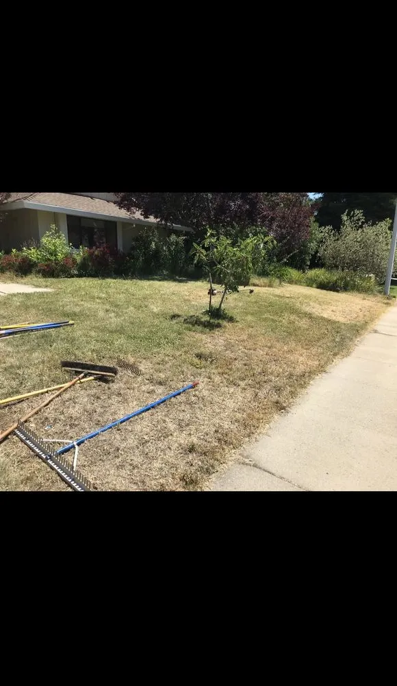 Reliable garden landscaping near you in Sacramento, CA by Landscaping Corza