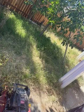 Reliable landscape installation in Sacramento, CA by Landscaping Corza