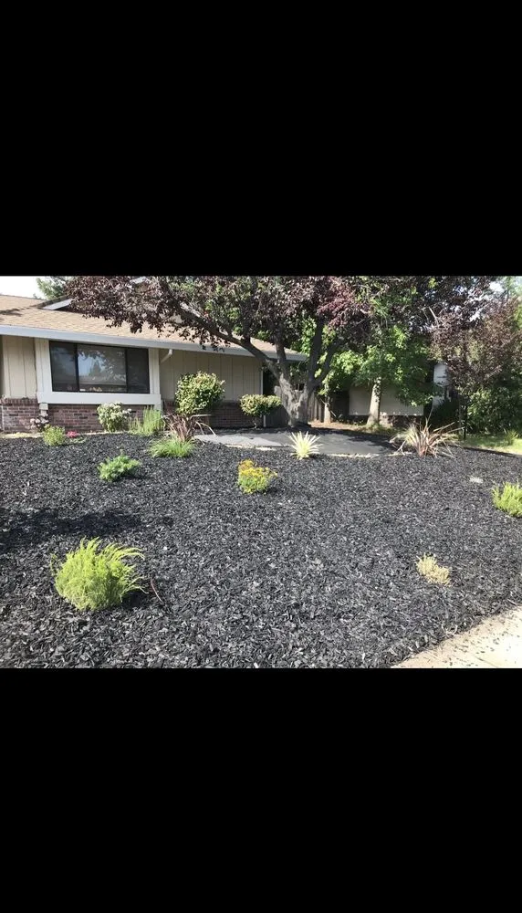 Expert lawn mowing service experts serving Sacramento, CA - Landscaping Corza