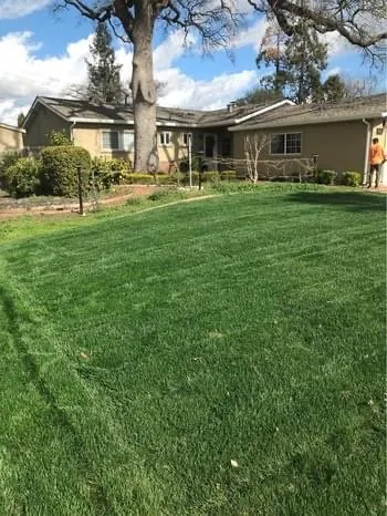 Top-rated yard maintenance near you across Sacramento, CA - Landscaping Corza