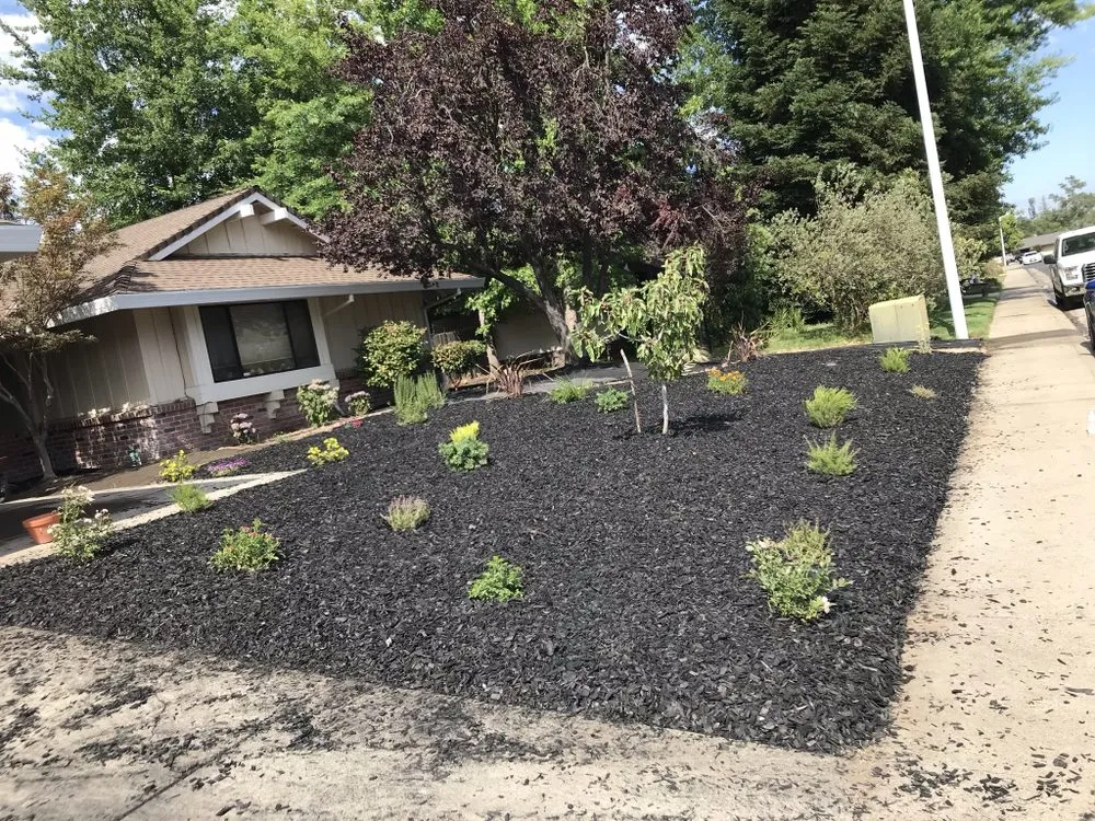 Custom landscape design for outdoor upgrades across Sacramento, CA - Landscaping Corza