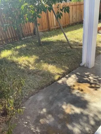 Top-rated residential landscaping experts serving Sacramento, CA - Landscaping Corza