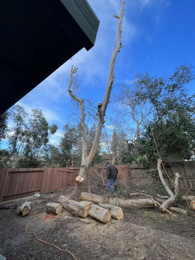 Top-rated garden landscaping in Sacramento, CA by Landscaping Corza