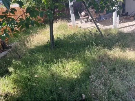 Reliable landscape installation in Sacramento, CA - Landscaping Corza