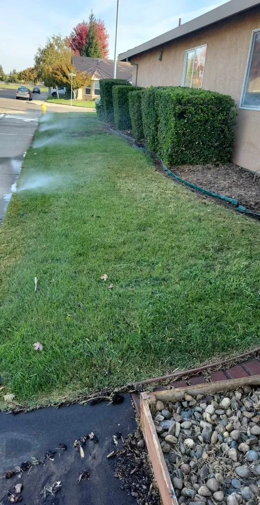 Expert landscape installation for residential properties in Lodi, CA by Landscaping Cowboy