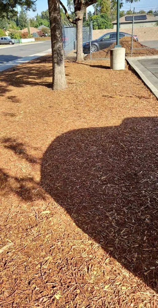 Affordable residential landscaping in Lodi, CA - Landscaping Cowboy