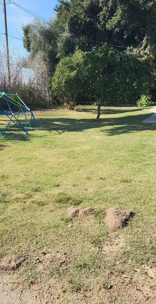 Top-rated landscaping services experts serving Lodi, CA - Landscaping Cowboy