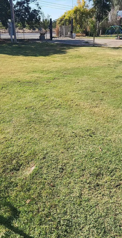 Reliable landscape design experts serving Lodi, CA - Landscaping Cowboy