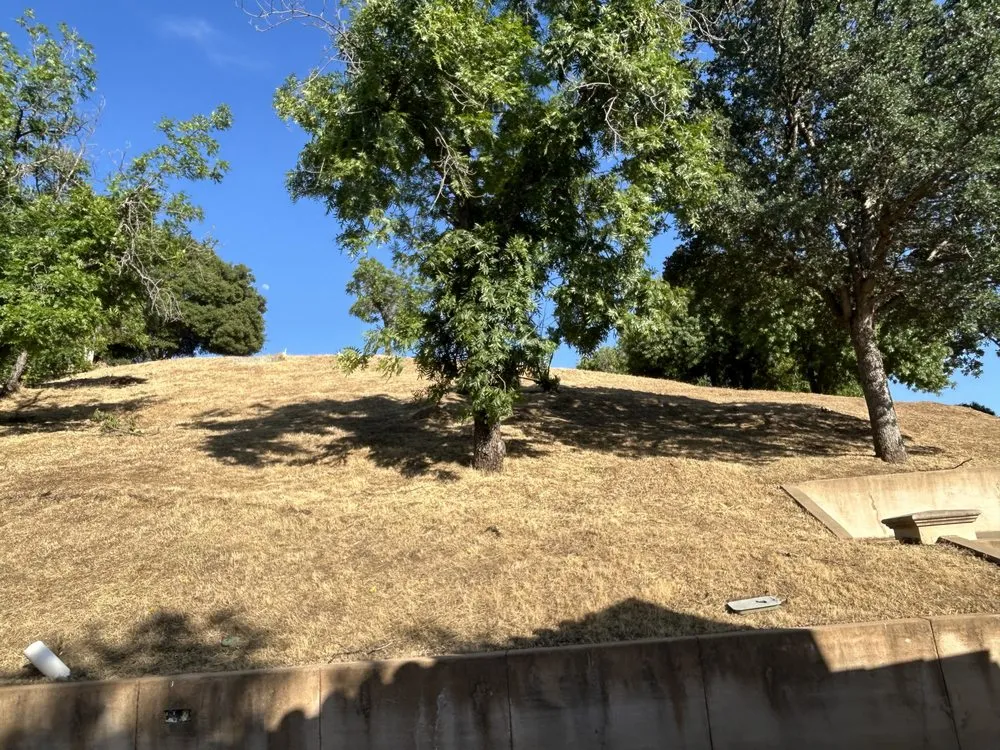 Custom yard cleanup service for homes across Fairfield, CA - Landscaping Del Sol