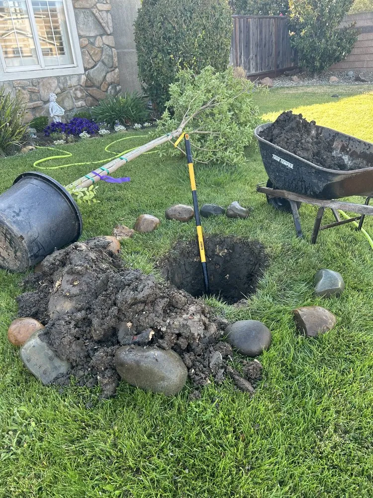 Professional lawn care service for outdoor upgrades in Fairfield, CA by Landscaping Del Sol