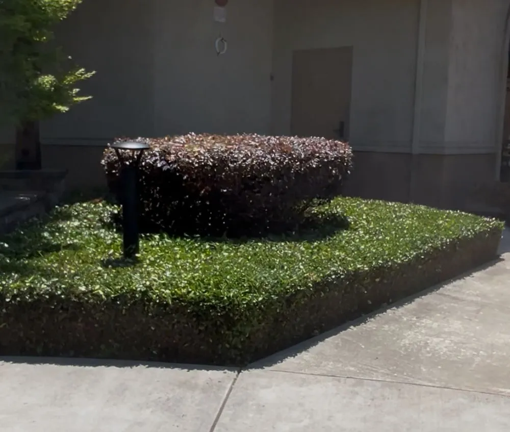 Trusted residential landscaping in Fairfield, CA - Landscaping Del Sol