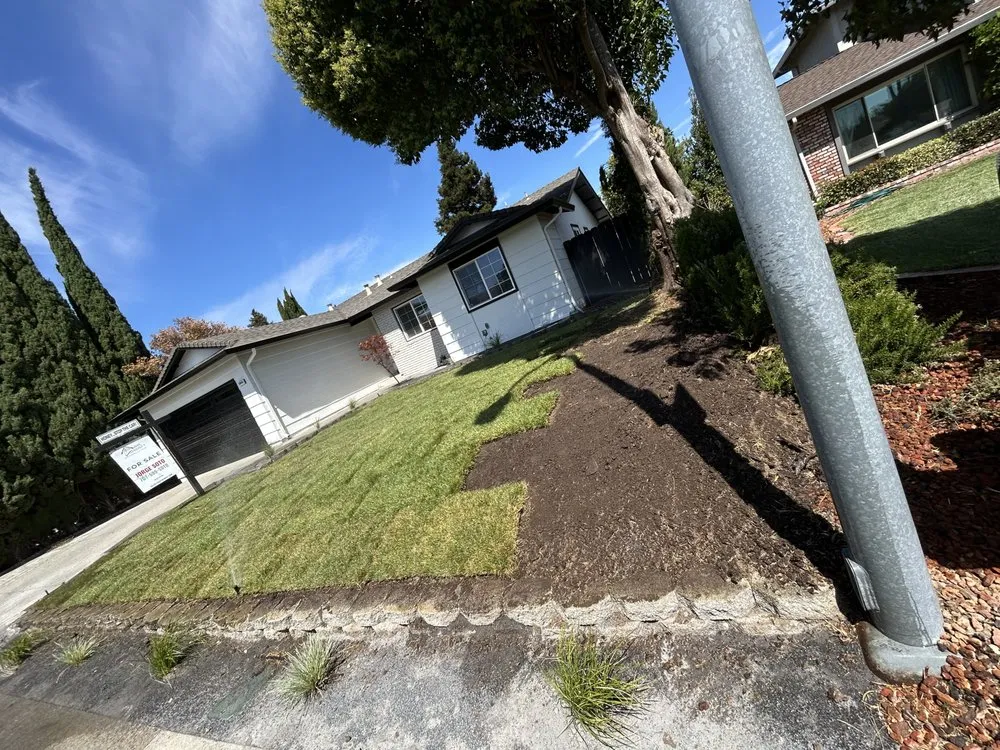 Professional landscape installation in Fairfield, CA - Landscaping Del Sol