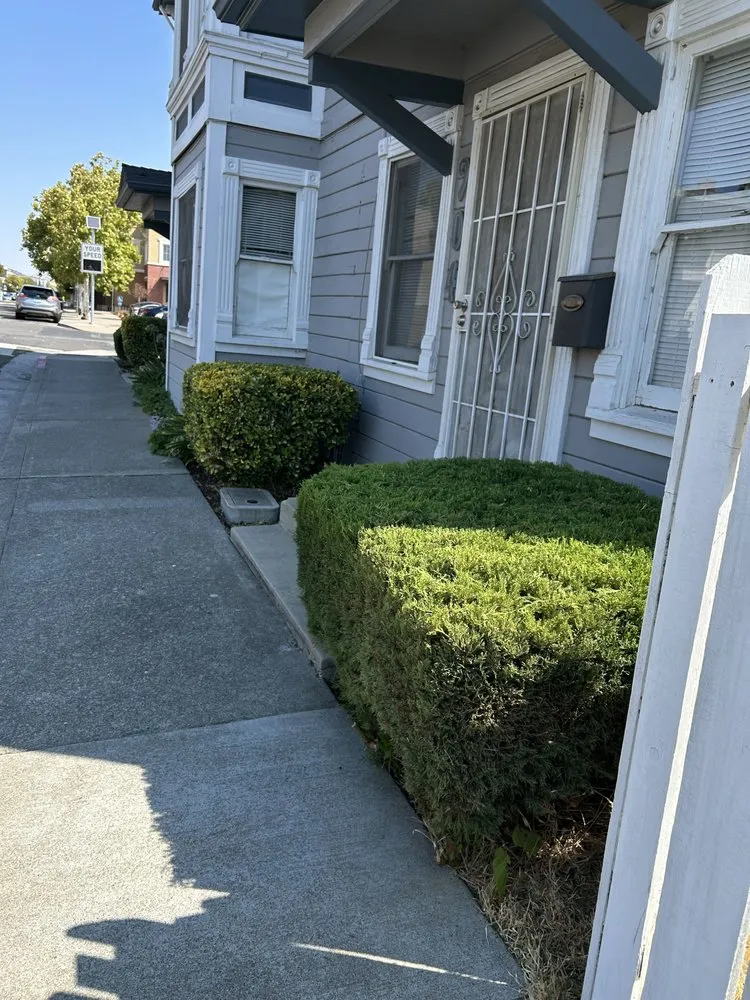 Professional landscape installation for homes in Fairfield, CA by Landscaping Del Sol