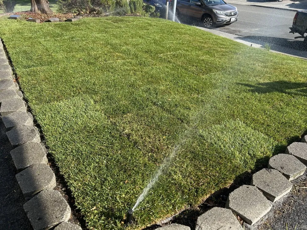 Top-rated yard maintenance in Fairfield, CA by Landscaping Del Sol
