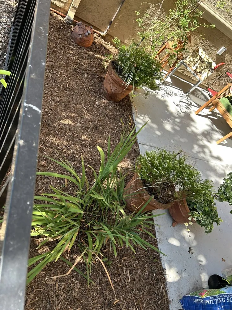 Affordable garden landscaping with custom design in Fairfield, CA by Landscaping Del Sol