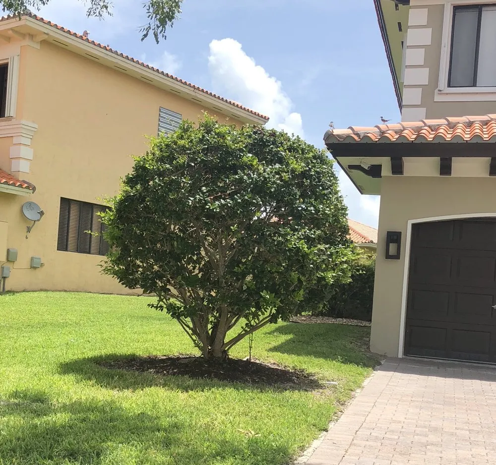 Custom landscape installation in Miami, FL - Landscaping Designs of Florida