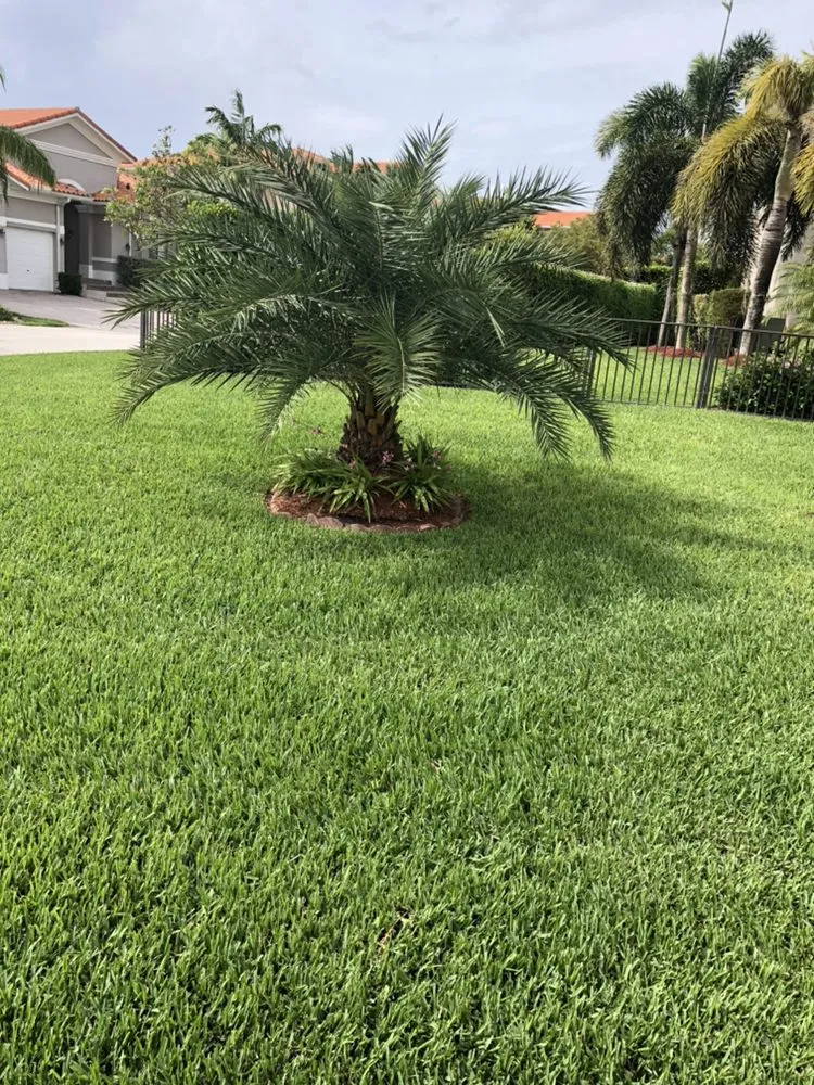 Top-rated yard maintenance in Miami, FL by Landscaping Designs of Florida