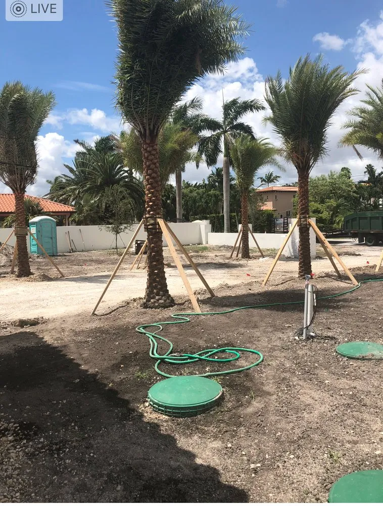 Local yard cleanup service in Miami, FL - Landscaping Designs of Florida