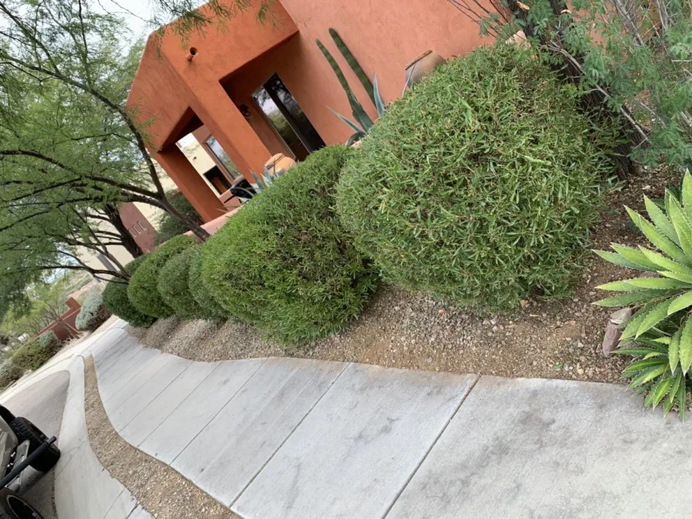 Reliable lawn mowing service for year-round maintenance in Tucson, AZ by Landscaping Diaz
