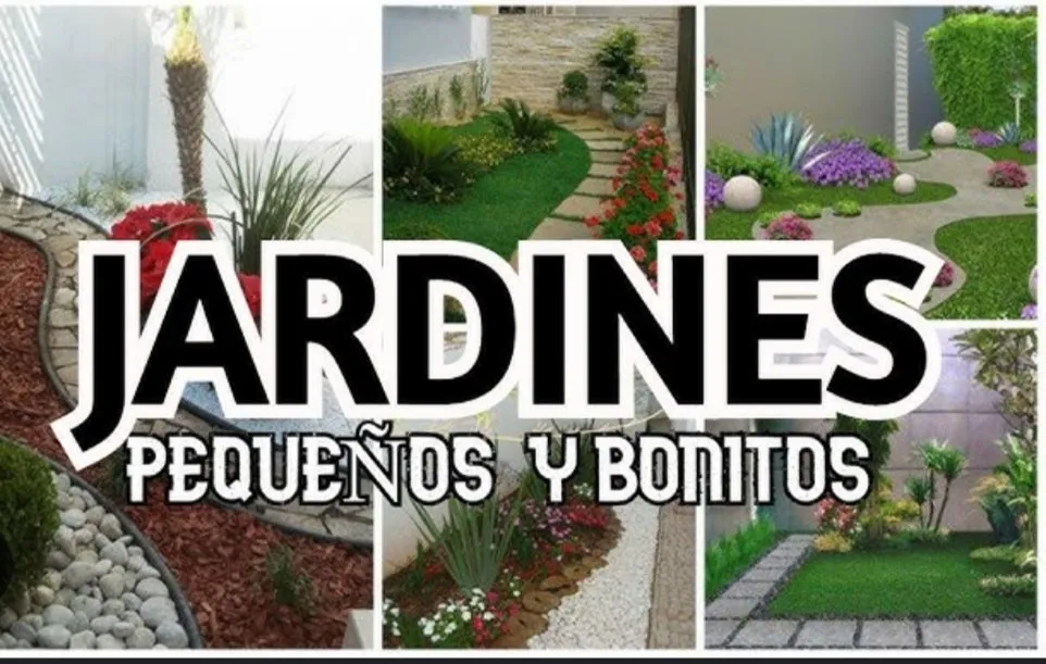 Expert landscape installation in Dallas, TX - Landscaping Edwin