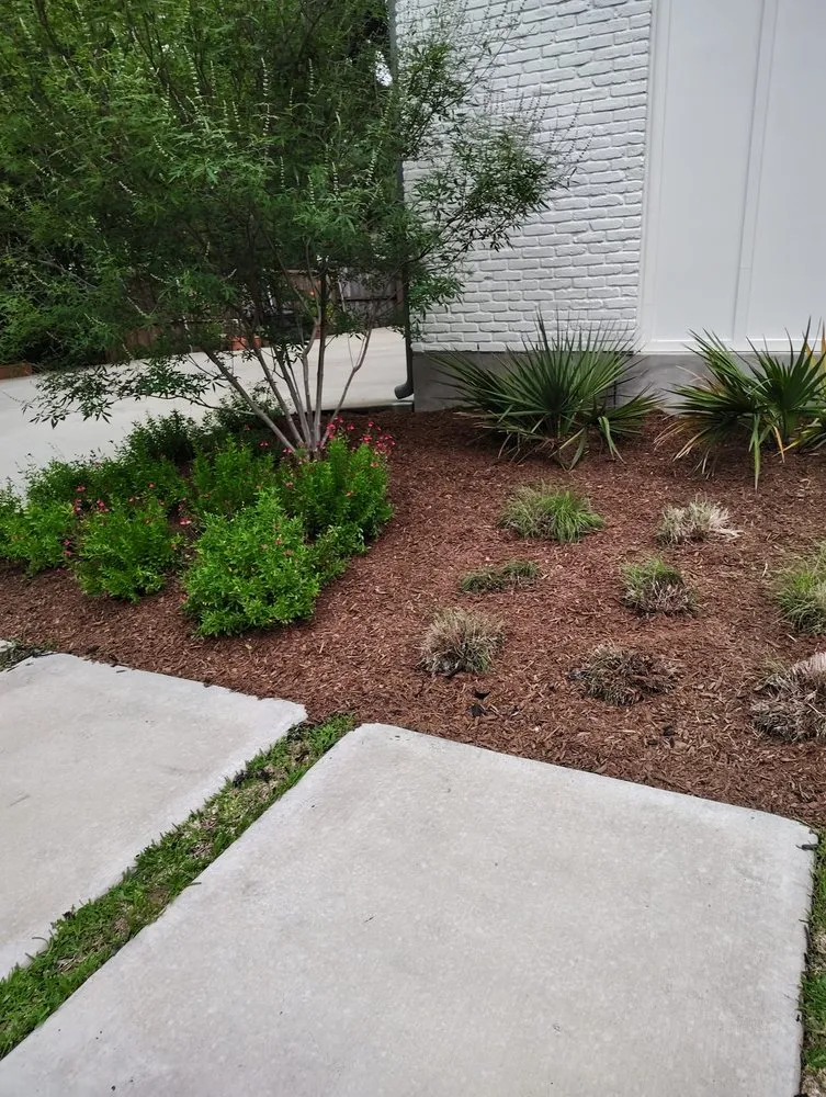 Top-rated yard cleanup service for outdoor upgrades in Dallas, TX by Landscaping Edwin