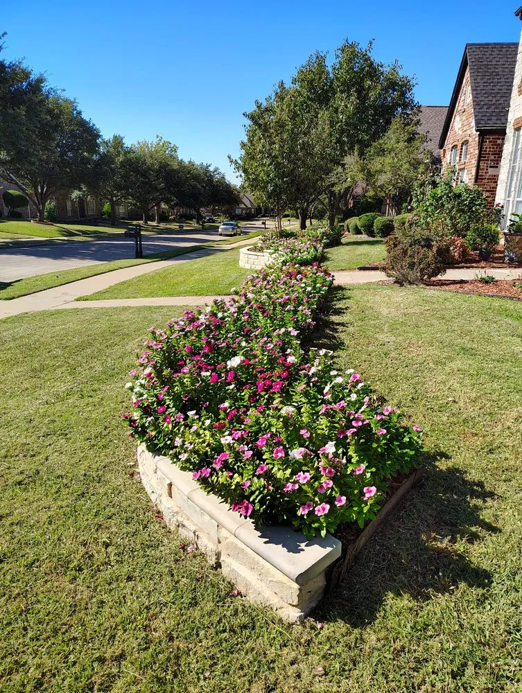 Trusted garden landscaping for year-round maintenance in Dallas, TX by Landscaping Edwin