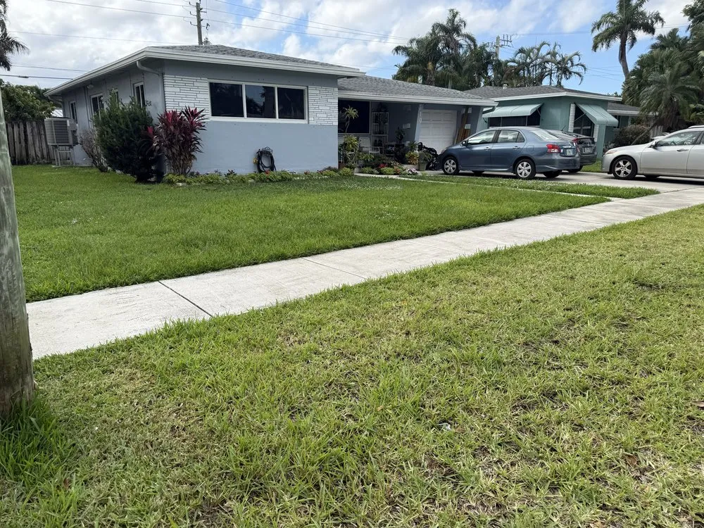 Trusted yard maintenance in Hallandale Beach, FL - Landscaping el eden