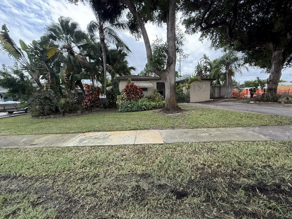 Custom landscape installation with custom design across Hallandale Beach, FL - Landscaping el eden