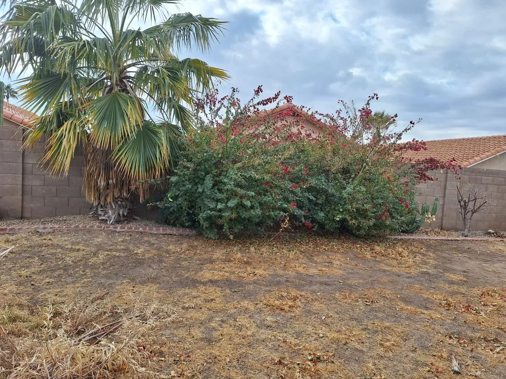 Professional landscape installation experts serving Phoenix, AZ - Landscaping El Saguaro