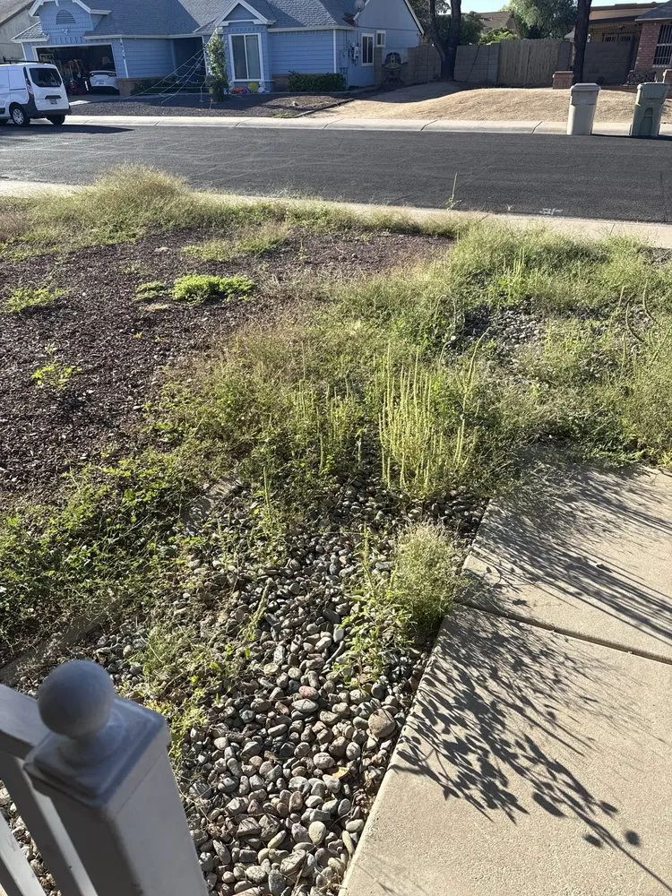 Reliable lawn care service for beautiful yards across Phoenix, AZ - Landscaping El Saguaro