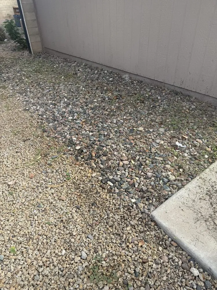 Professional landscape design for residential properties across Phoenix, AZ - Landscaping El Saguaro