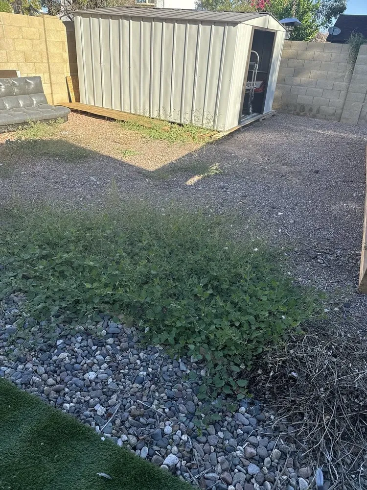 Trusted outdoor landscaping in Phoenix, AZ by Landscaping El Saguaro