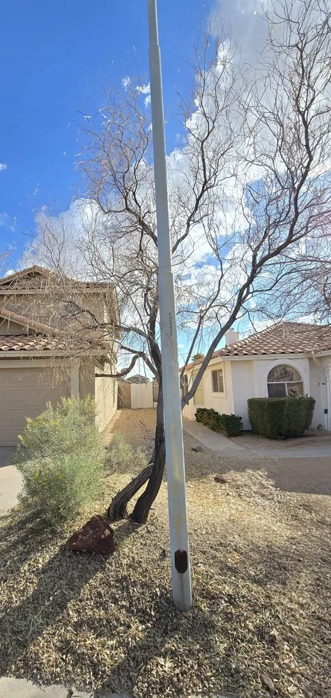 Professional landscape installation experts serving Phoenix, AZ - Landscaping El Saguaro