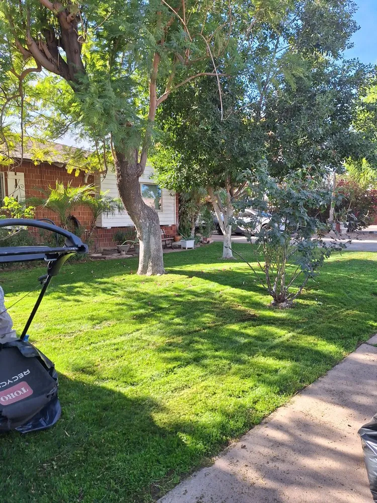 Affordable yard cleanup service experts serving Phoenix, AZ - Landscaping El Saguaro