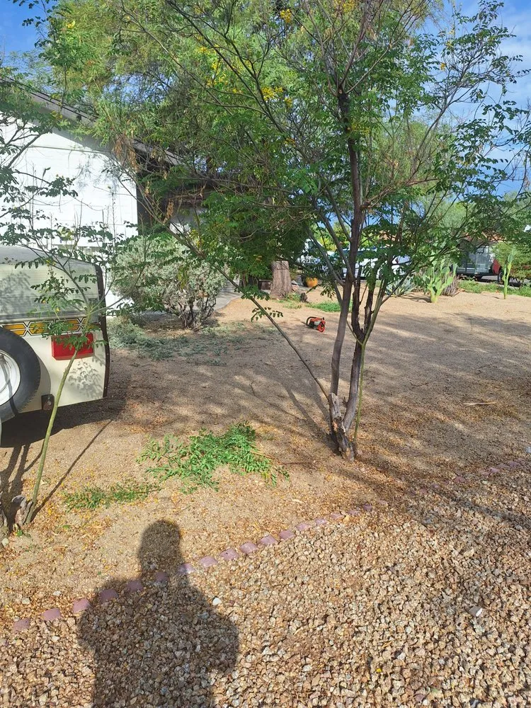 Affordable lawn care service experts serving Phoenix, AZ - Landscaping El Saguaro