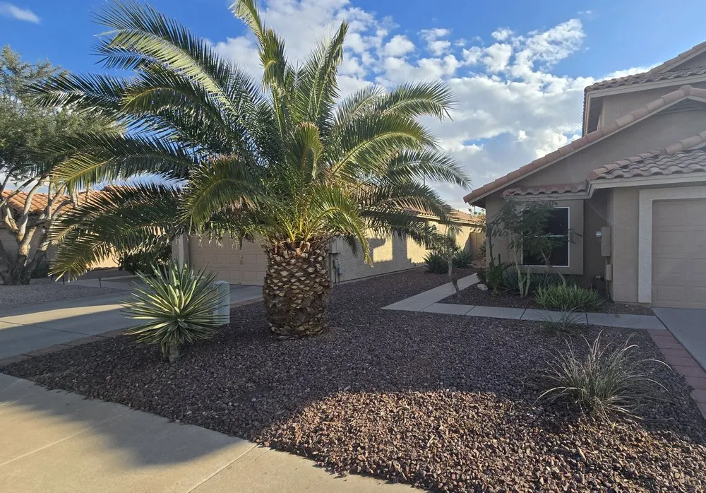 Custom landscape design in Phoenix, AZ - Landscaping El Saguaro