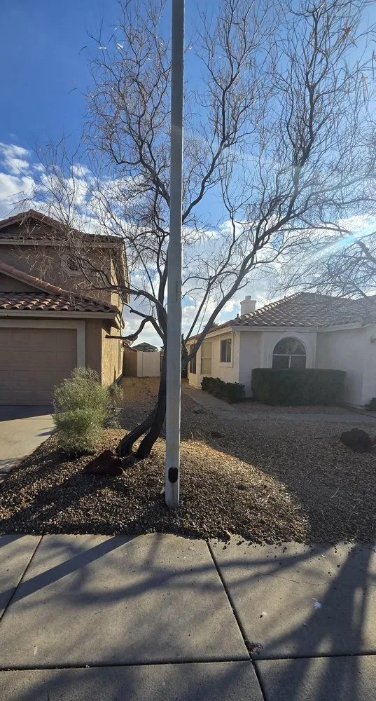 Trusted landscaping services for outdoor upgrades in Phoenix, AZ by Landscaping El Saguaro