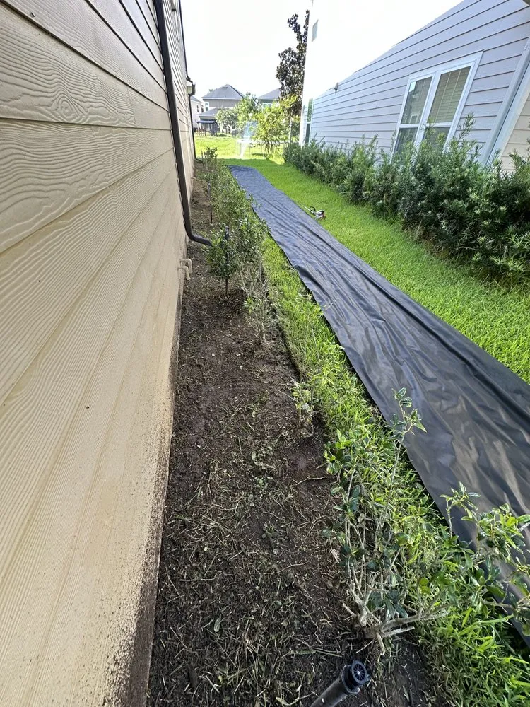 Expert outdoor landscaping near you across Jacksonville, FL - Landscaping Emmanuel