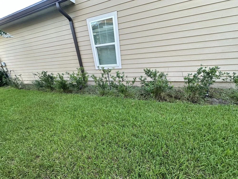 Top-rated residential landscaping in Jacksonville, FL by Landscaping Emmanuel