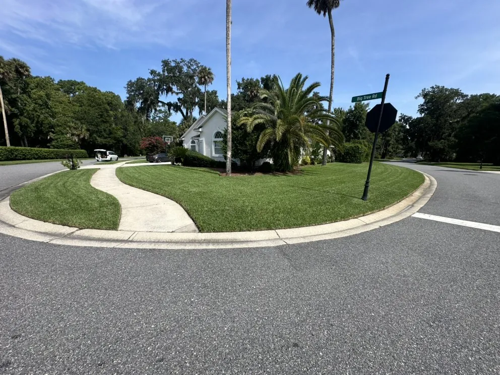 Professional yard maintenance experts serving Jacksonville, FL - Landscaping Emmanuel