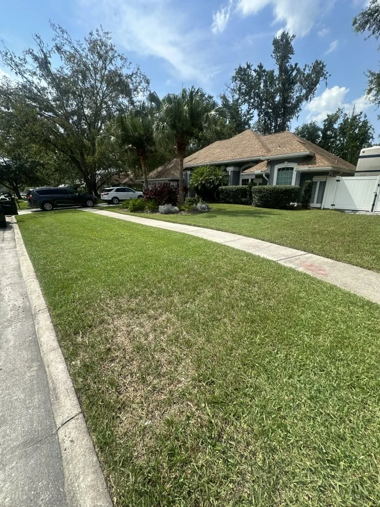 Custom landscape design experts serving Jacksonville, FL - Landscaping Emmanuel