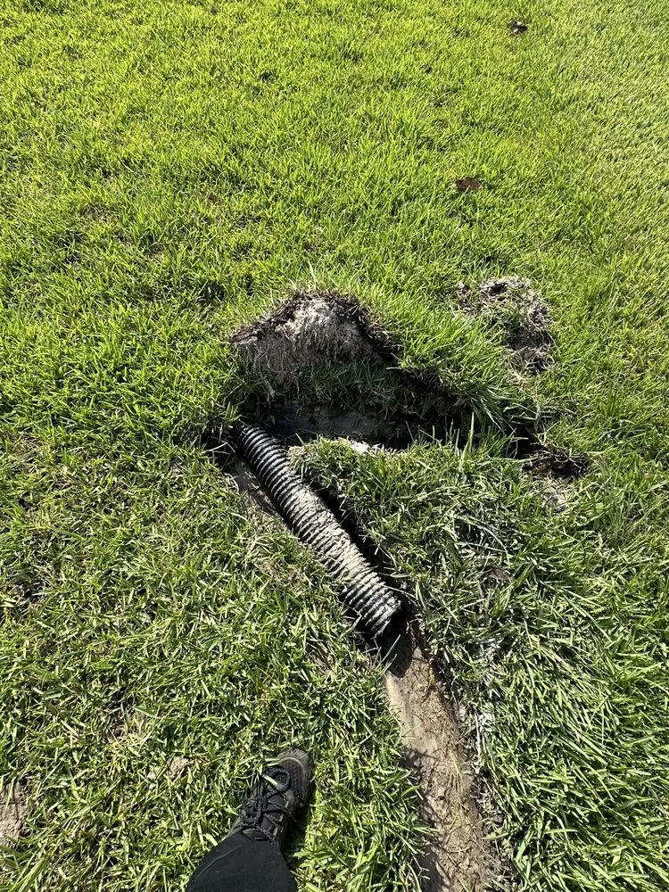 Top-rated garden landscaping for residential properties across Jacksonville, FL - Landscaping Emmanuel