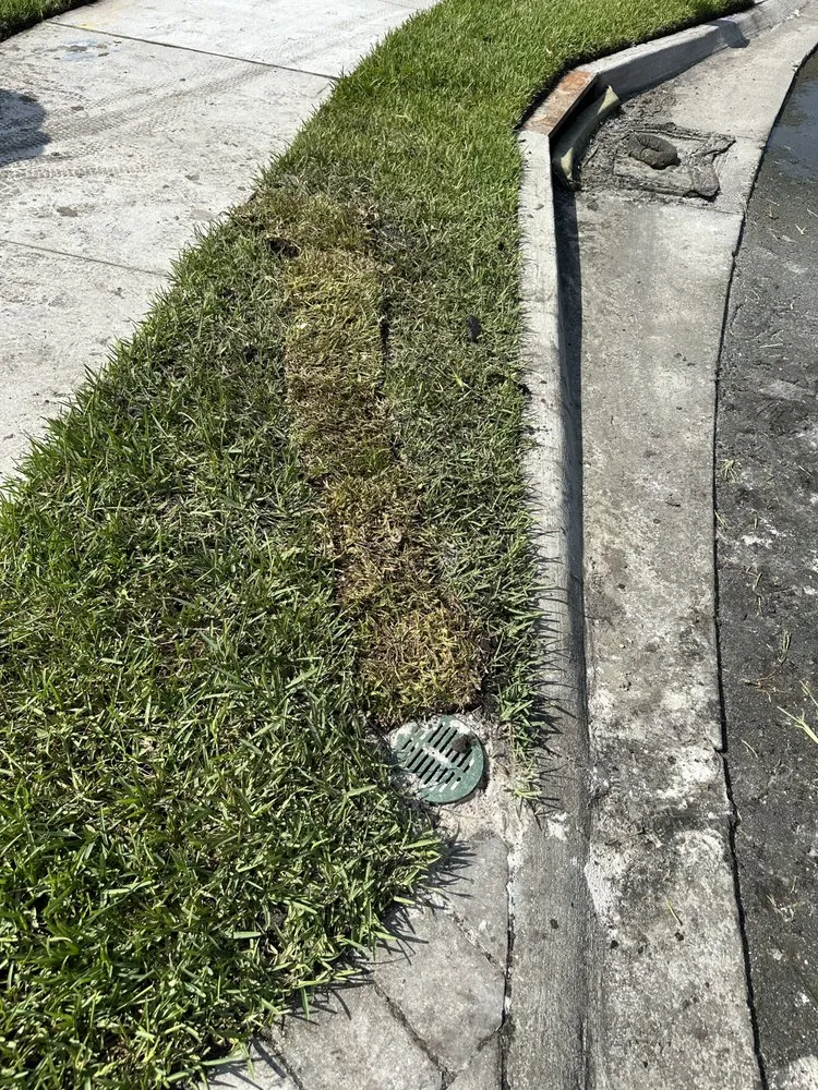 Trusted outdoor landscaping experts serving Jacksonville, FL - Landscaping Emmanuel