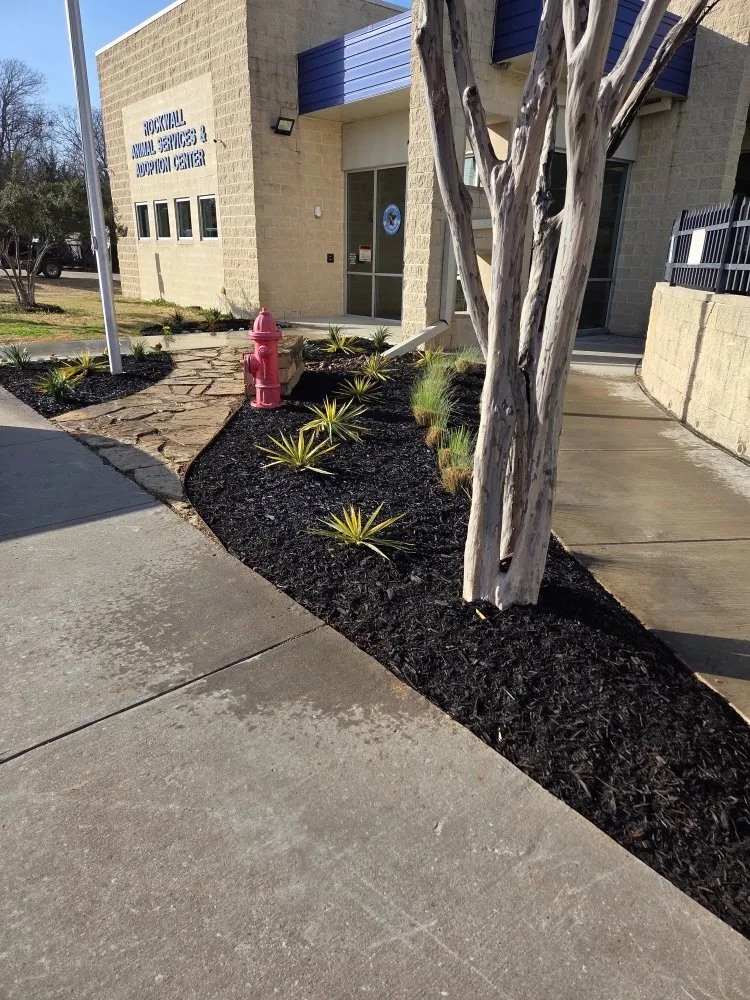 Top-rated garden landscaping in Dallas, TX by Landscaping Flowers