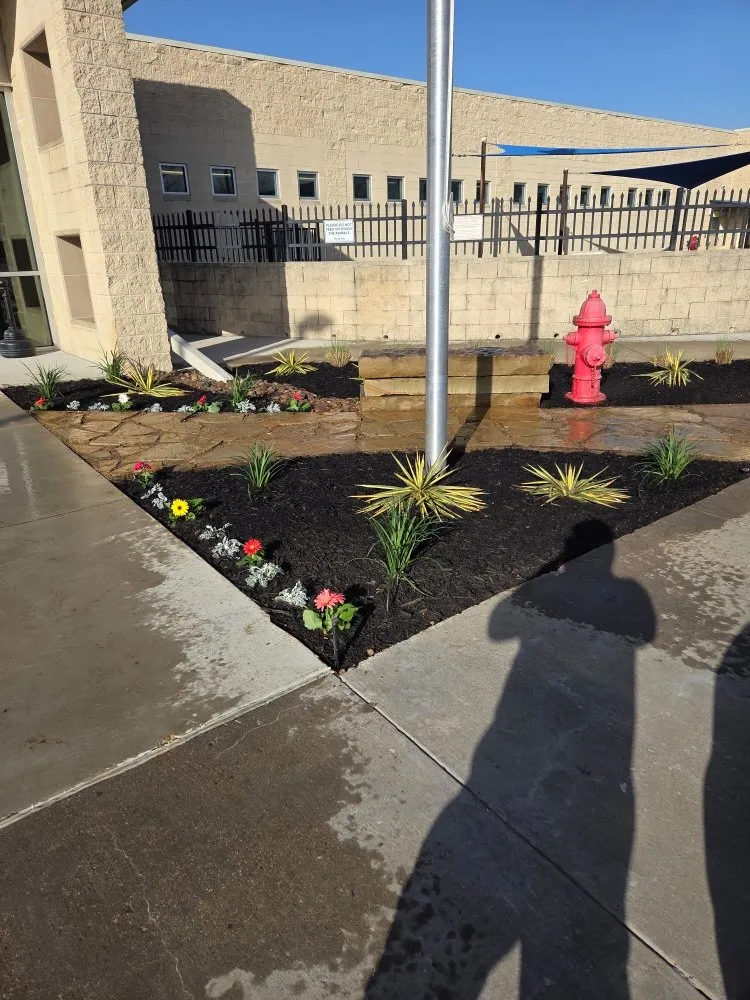 Reliable yard maintenance in Dallas, TX by Landscaping Flowers
